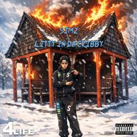 Simz - Litty in da Cribby (Explicit)