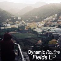Dynamic Routine - Fields