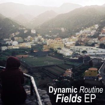 Dynamic Routine - Fields