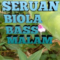 Condro - Seruan biola bass malam