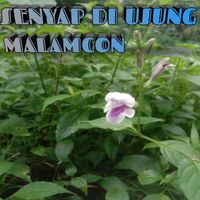 Condro - Senyap di ujung malamcon