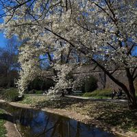CLeo - Frühling Im Winter