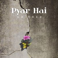 SD Docx - Pyar Hai