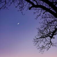 nightfall - Dream Catcher
