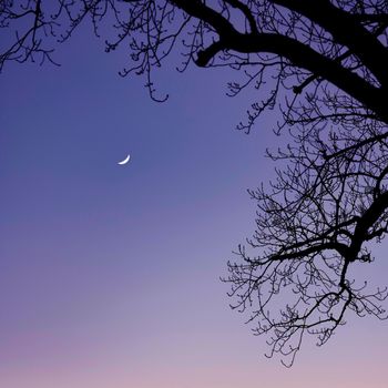 nightfall - Dream Catcher