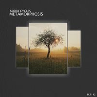 Audio Cycles - Metamorphosis