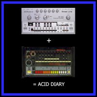 Krystian Shek - Acid Diary