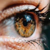 Carminda - My Eye