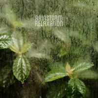 Four Winds - Rainstorm Relaxation