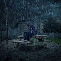 Falco - tra i pianti di milano