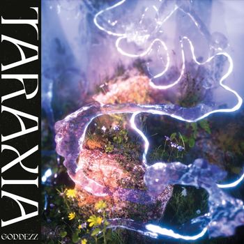 Various Artists - TARAXIA