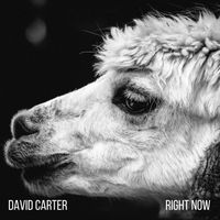 David Carter - Right Now