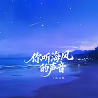 洛天依 - 你听海风的声音
