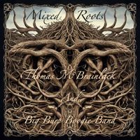 Thomas McBrainlack and Big Burp Boogie Band - Mixed Roots