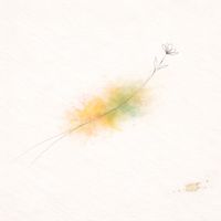 DEPO - Mille colori di volte