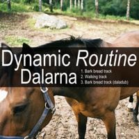Dynamic Routine - Dalarna