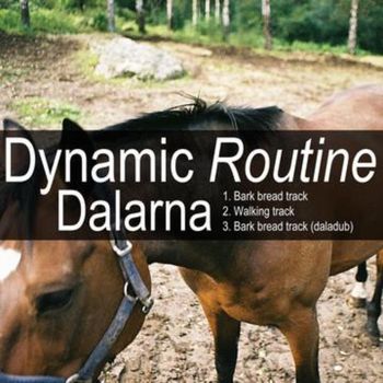 Dynamic Routine - Dalarna