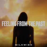 Milkwish - Feeling From The Past