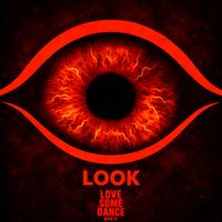 BVSIS - Look