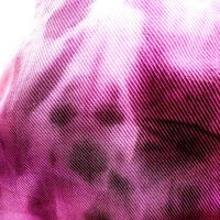 Riot - L’ULTIMO DIO (L’urlo) (Explicit)