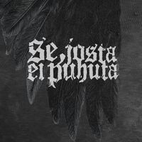 Se, Josta Ei Puhuta - Varis