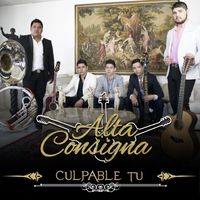 Alta Consigna - Culpable Tú (Explicit)