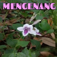 Condro - Mengenang