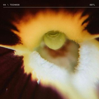 Various Artists - TECH038 Pt. 1