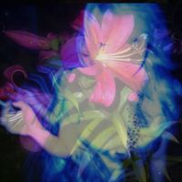 KARUMA - Growing (Explicit)