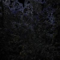 Tommy Lewis - Zyraxis