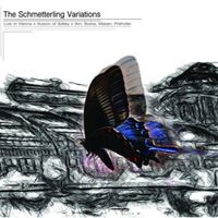 Illusion Of Safety - The Schmetterling Variations (Live in Vienna)
