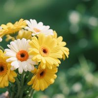 James Blackwood - training realities