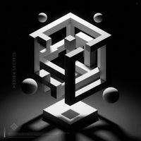 Tiger Musik - Distorsion Motivada