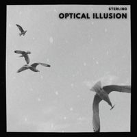 Sterling - Optical Illusion
