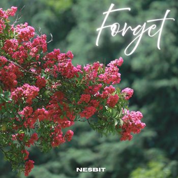 Nesbit - Forget