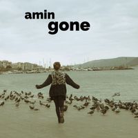 amin - Gone