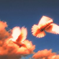 DRAMA - Platonic Romance (Azzecca Remix)