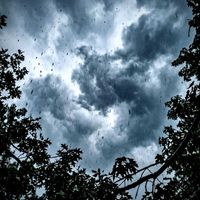 _RedWolf_ - Grateful For The Rain