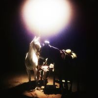 fault - Into the Ground (Explicit)