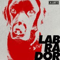 LabRaDor - Labrador