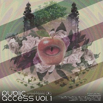 Various Artists - Public Access, Vol. 1 (Explicit)