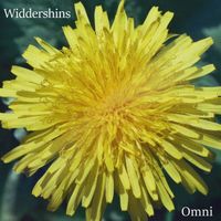 Omni - Widdershins