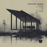 Krystian Shek - Resilience