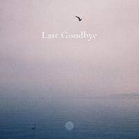 Sine - Last Goodbye