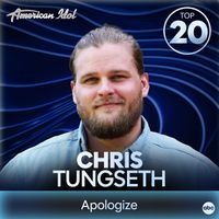 Chris Tungseth, American Idol - Apologize (from American Idol)