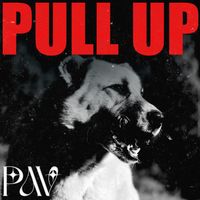 Pav - Pull Up