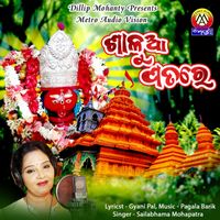 Sailabhama Mohapatra - Shalua Patare