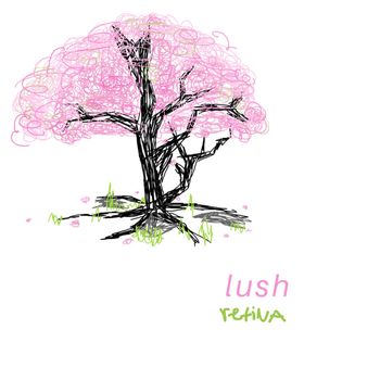retina - lush