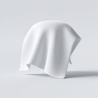 Liam Davis - The Last White Cloth