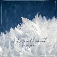 Van.Gao - A Frozen Moment
